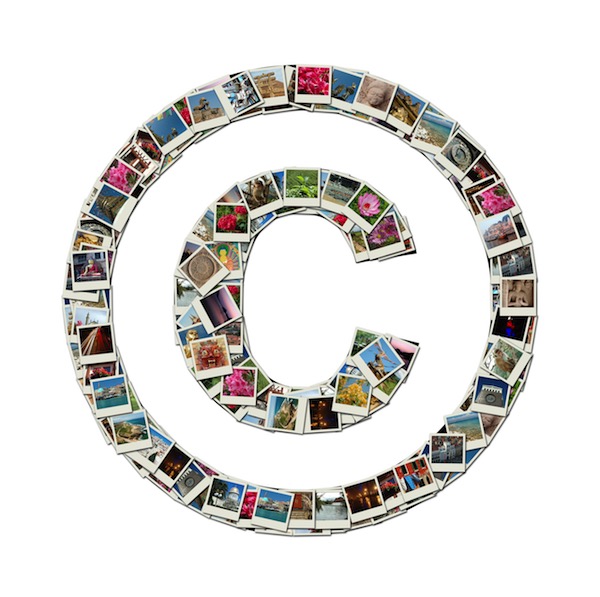 Stop! Check the Image Copyright before You Post - Bear Web Content